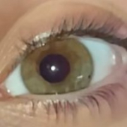avora_vibora