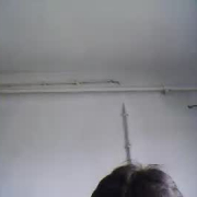 bosnian_parzasvebl