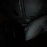 bull_in_vagina_shop