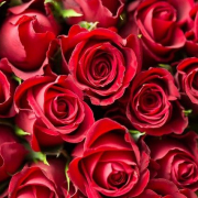 Sexylady_sl