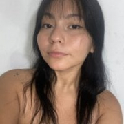 ariel_brake