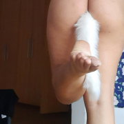 ceccifox
