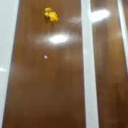 coca3435454