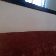 cabani_abani