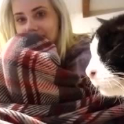 lo_kitten