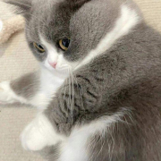 Baby-sexylove