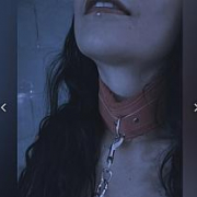 Dakota_steele_