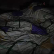 aveamcandvaa
