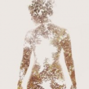 Destiny_1
