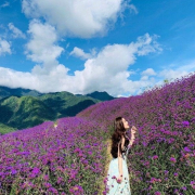 Ella_Phung