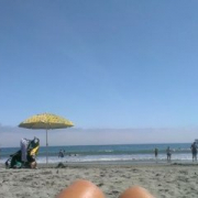 Batterfly14