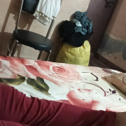 Sajd