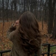 amelia_shiny_