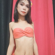 SKINNYasianSLUTs