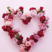 zarajean__