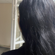 _black_fox