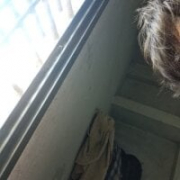 kajallkumarii