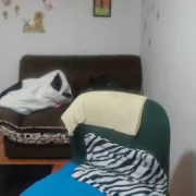 ammybarnet