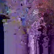 dropoot
