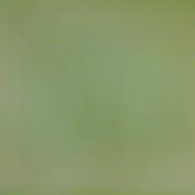 xbbth