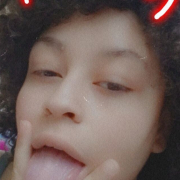 fiestry