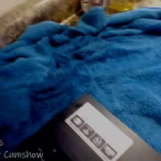 pennypiefoot
