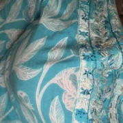 Juhi_cam4