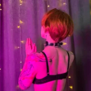 vixen_noir