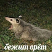fortheh0rde