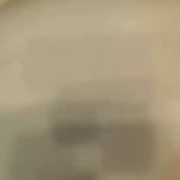 tonyomassilia