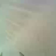 naughtbunny