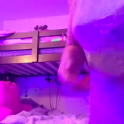 weliketoplay4you