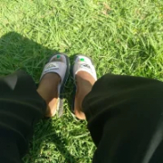 Little_birdd
