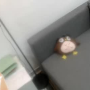 everlustcam