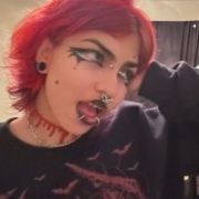 Harley_cams