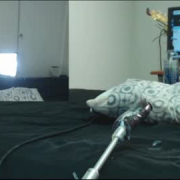 wet_pussy_xxx