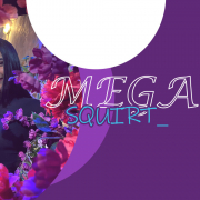 MegaSquirt_