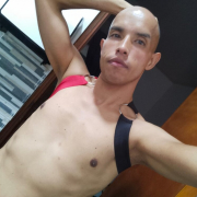 tigre_latino