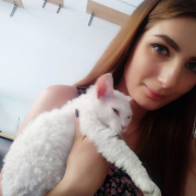 KittyKity