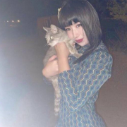 kato_ito