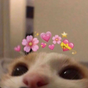 kittyvenus420