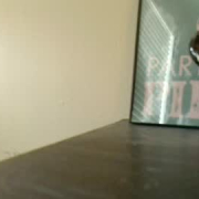 quinnsquirt35