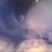 hornycouple23423432