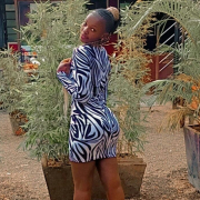 lil_dove