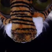 tinkdatiger