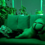 Lilith_x1