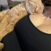 huge_tits52