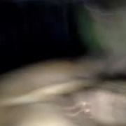 sexyebony69