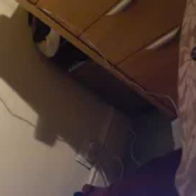 tazandfred