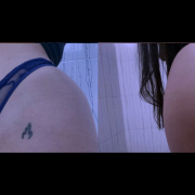 Cattleya_dy